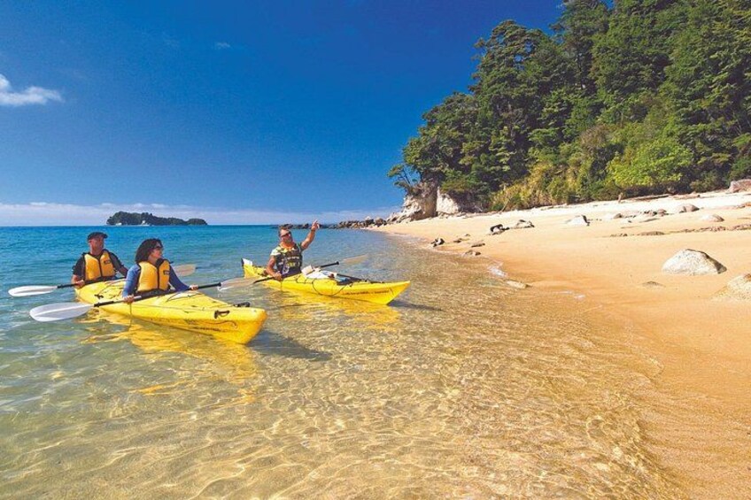 Three people kayaking on a clear beach with clear water and a forested island in the background. 5