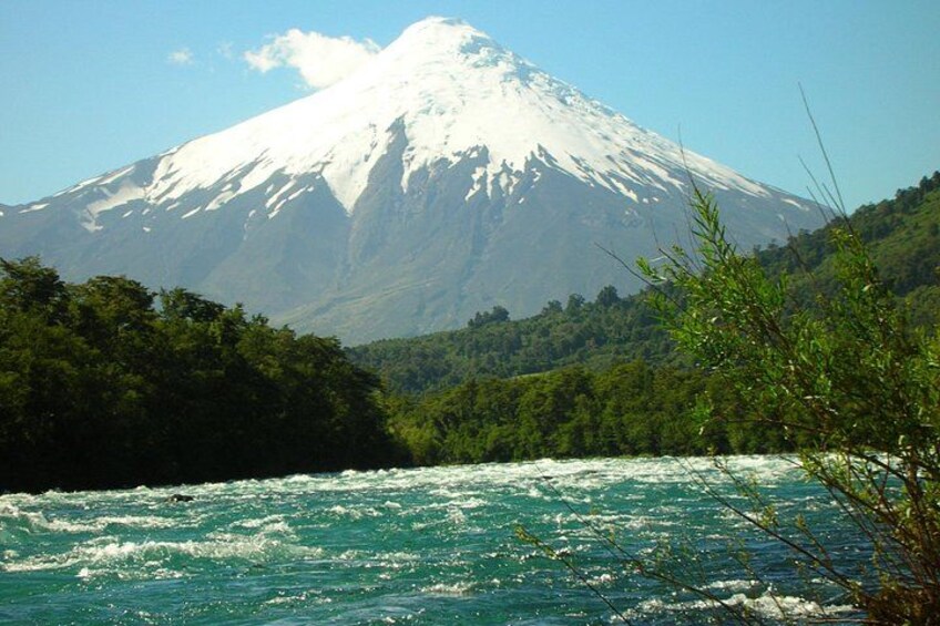 A river flowing through a forest with a snow-capped mountain in the background. 4