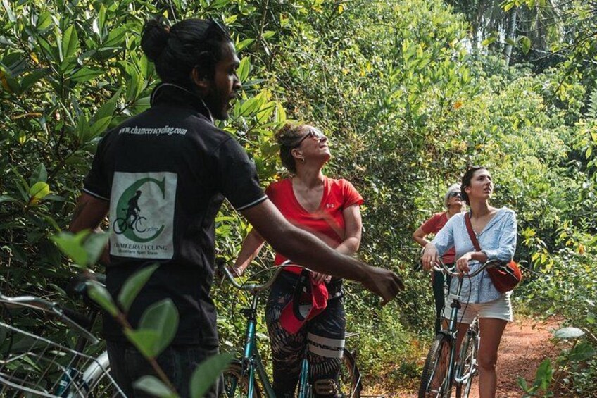 A person on a bicycle, surrounded by greenery, with a website URL on the back of their shirt. 4