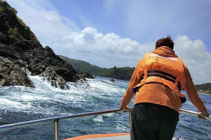 Chiloe Island - Puñihuil Tour 1