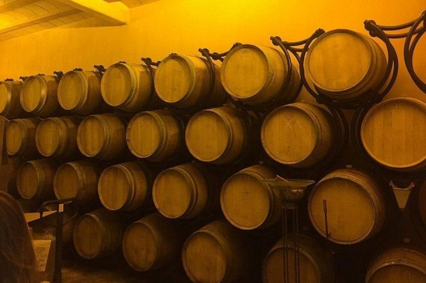 Winery Visit with Food and Wine in Carcassonne 2
