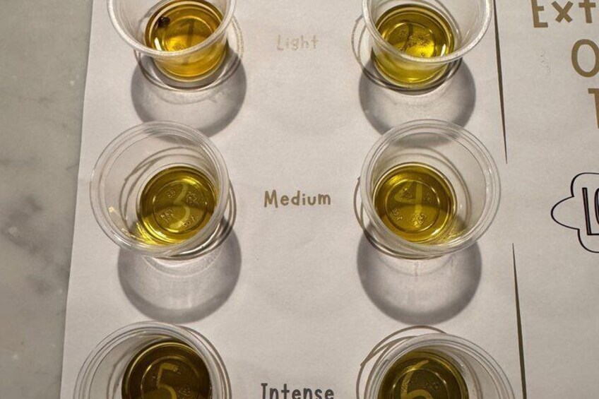 Extra Virgin Olive Oil Tasting in Rome 2