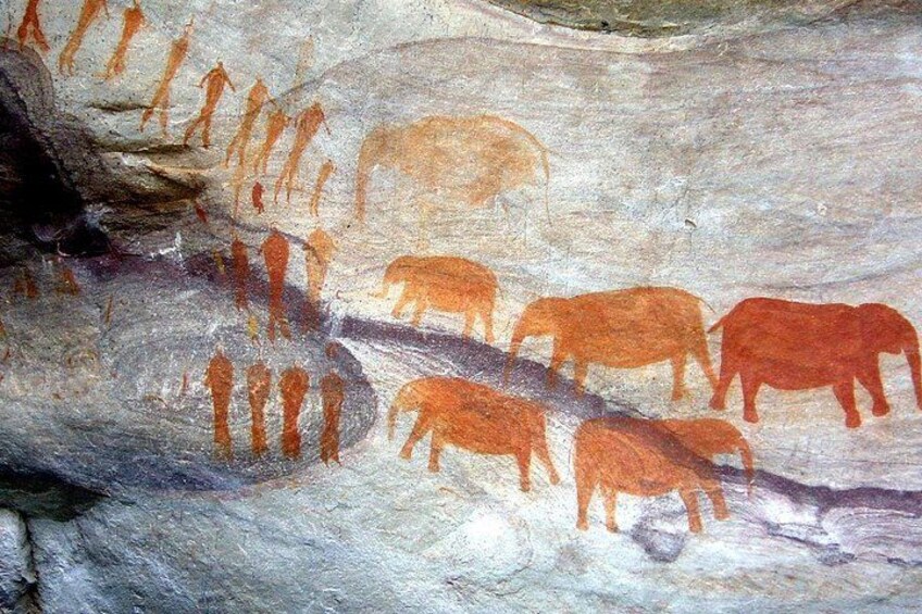 A cave wall with prehistoric animal and human figures painted in ochre. 1