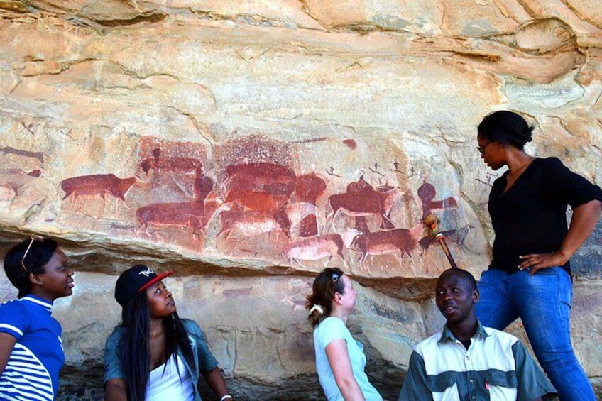 A group of people observing ancient rock paintings on a cave wall. 2