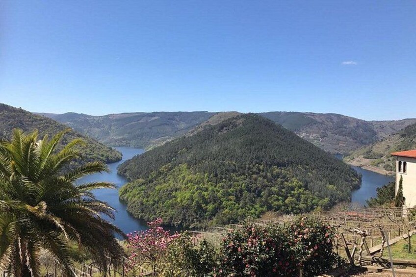 A river winding through a forested valley with hills in the background. 2