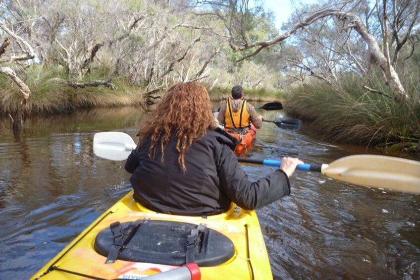 Kayak Tour on the Canning River 5