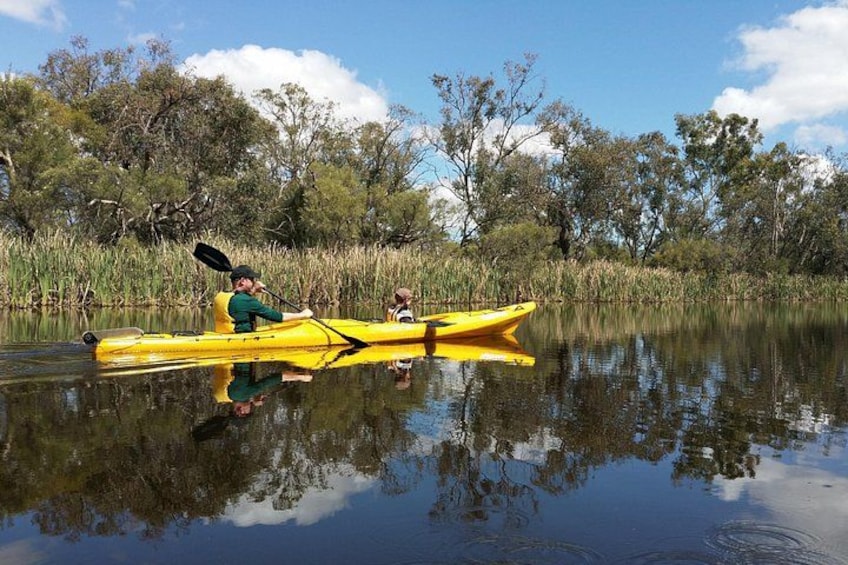 Kayak Tour on the Canning River 2