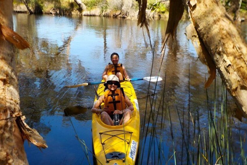 Kayak Tour on the Canning River 1