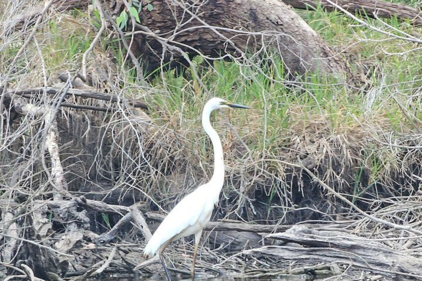 Kayak Tour on the Canning River 2