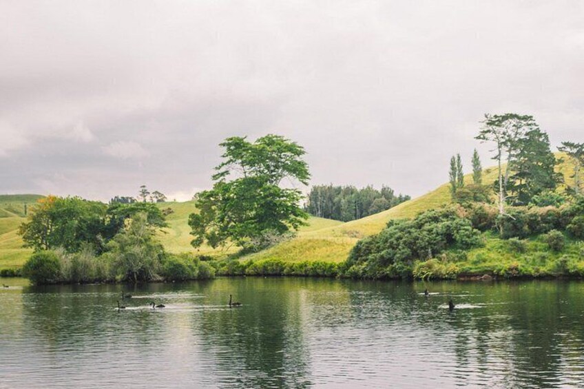 Tauranga Daytime Scenic Lake McLaren Tour 2