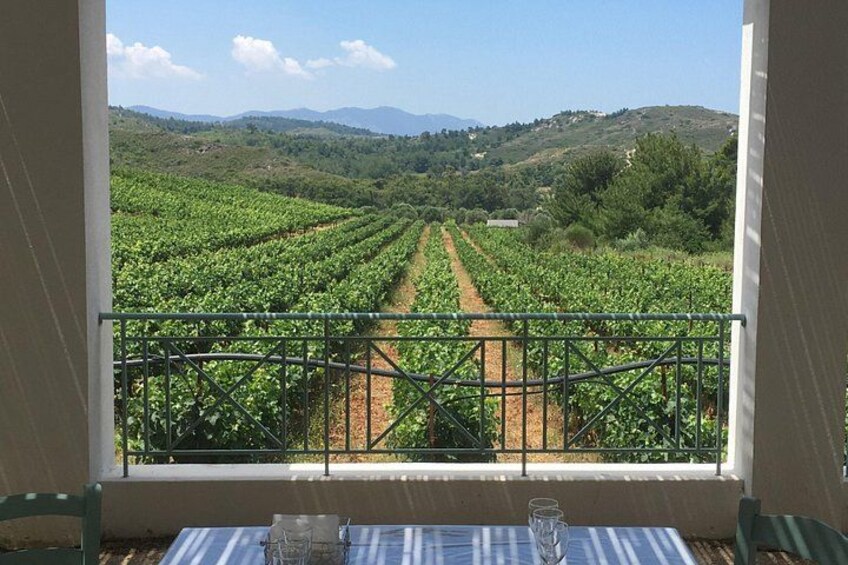 Traditional Greek COOKING class and Wine Tasting in Rhodes 3