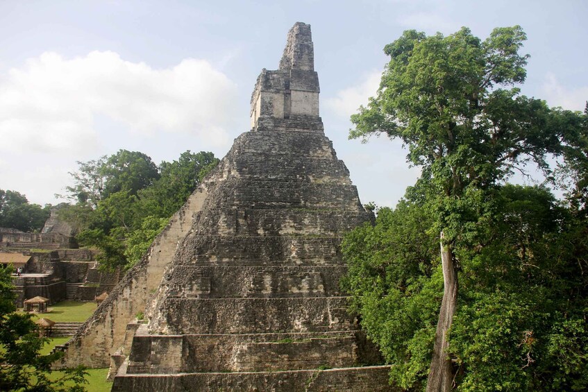 Een oude piramide omgeven door weelderige begroeiing. 3