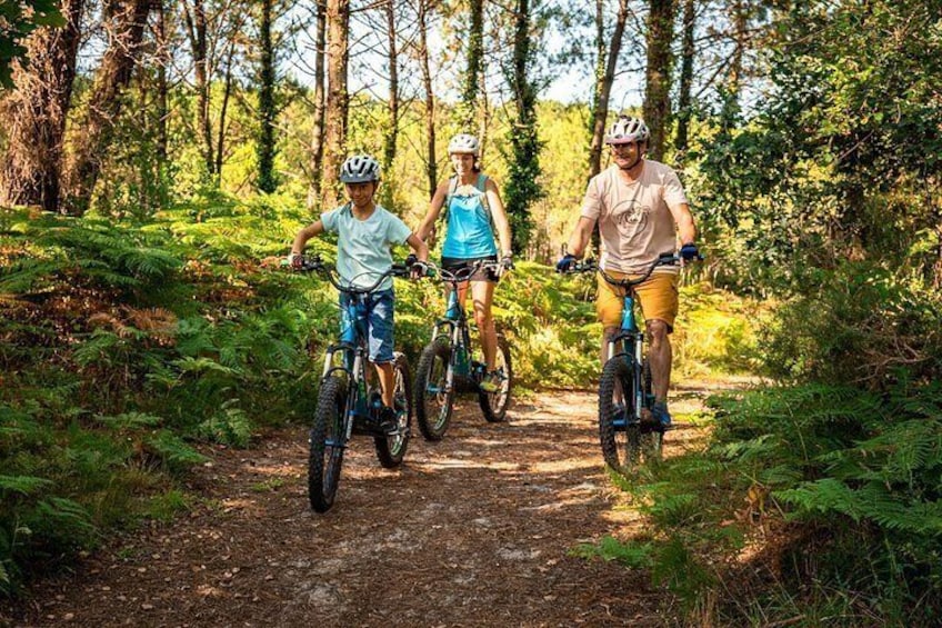 Leisure ride on an electric scooter 3