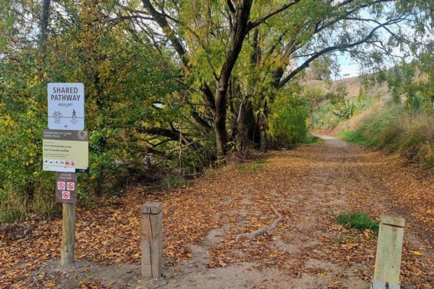 A shared pathway with signs, surrounded by trees and fallen leaves. 5