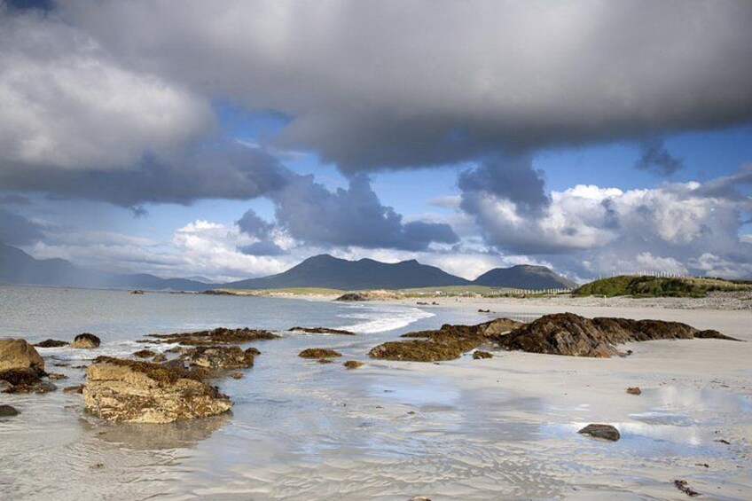 Connemara National Park, Beach & Blanket Bog ecology walk. Private Full-day 3