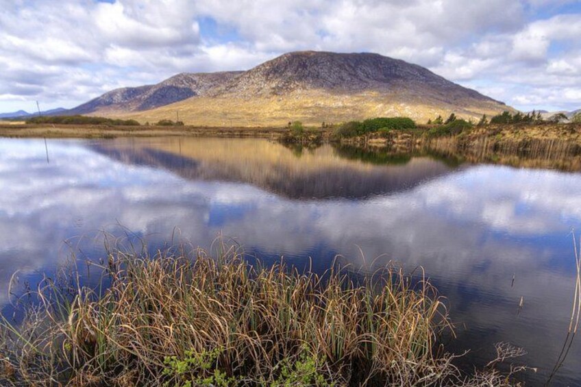 Connemara National Park, Beach & Blanket Bog ecology walk. Private Full-day 4