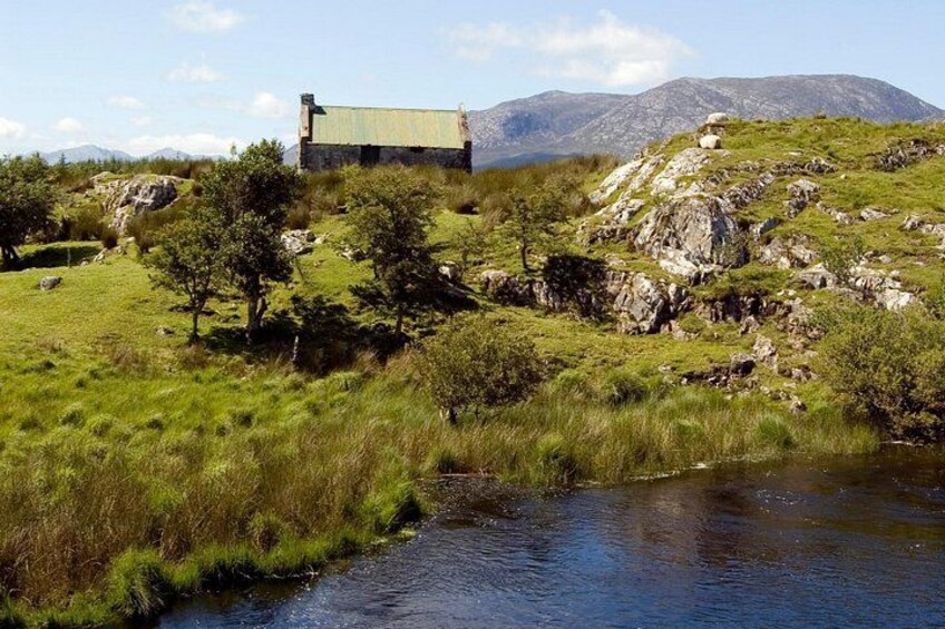 Connemara National Park, Beach & Blanket Bog ecology walk. Private Full-day 5