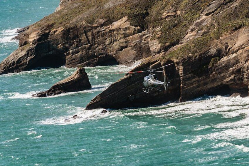 Te Tau Ihu West Coast Wilderness 4