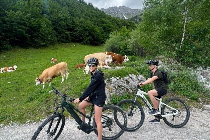 Scenic E-Bike Tour Nordkette Innsbruck 3