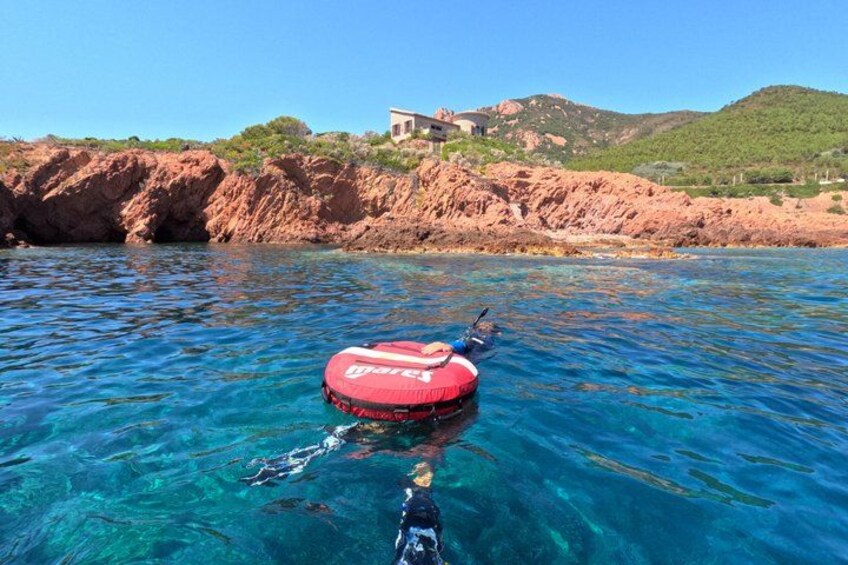 Snorkeling Excursion 2h00 Cap Dramont & Ile d'Or in Saint-Raphaël 4