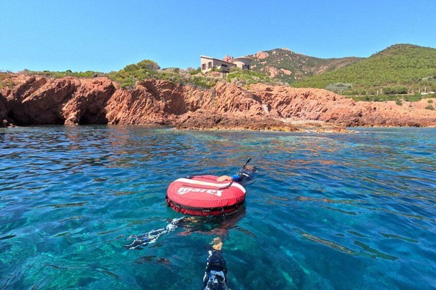 Snorkeling Excursion 2h00 Cap Dramont & Ile d'Or in Saint-Raphaël 3