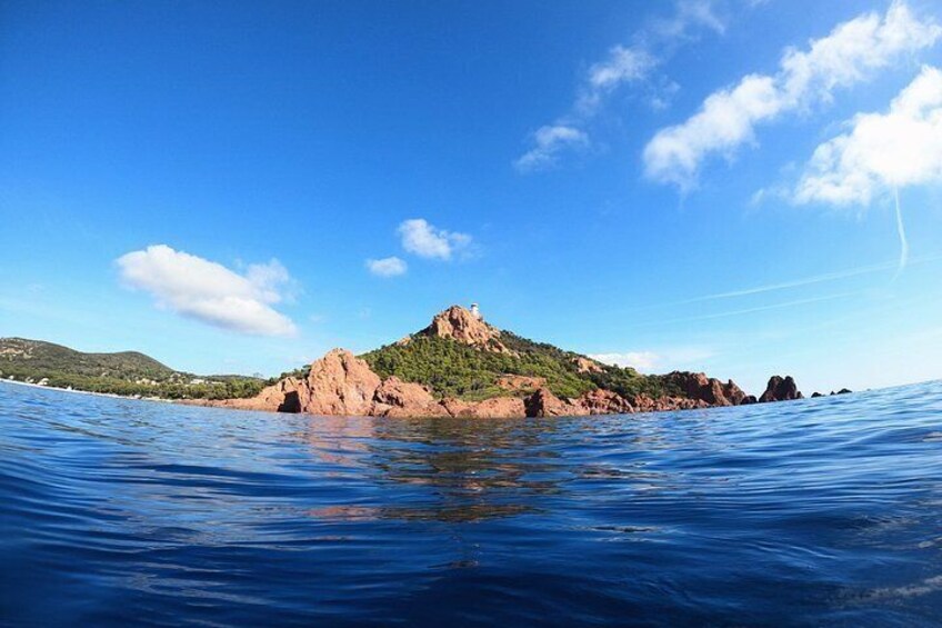 Snorkeling Excursion 2h00 Cap Dramont & Ile d'Or in Saint-Raphaël 5
