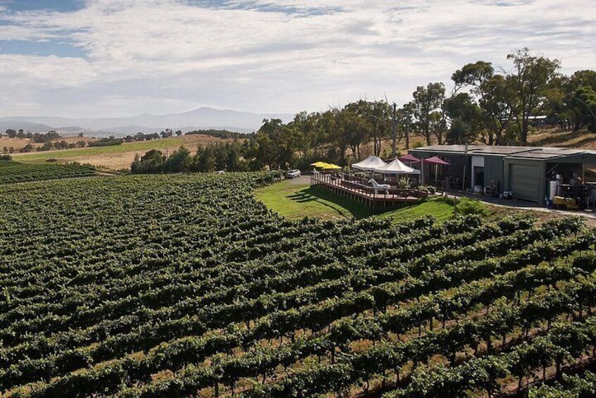 Private Tour: Yarra Valley Wineries with Wine Tastings 3