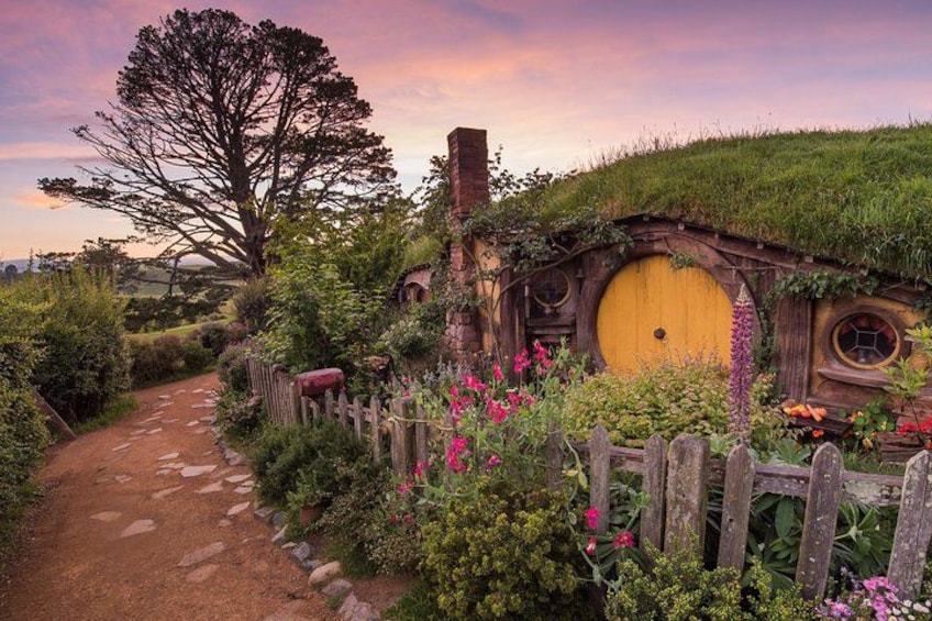 Private Tour - Hobbiton Movie Set & Te Puia (Rotorua) 4