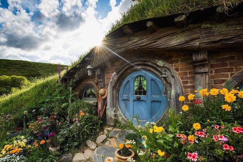Private Tour - Hobbiton Movie Set & Te Puia (Rotorua) 2