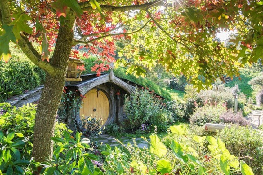 Private Tour - Hobbiton Movie Set & Te Puia (Rotorua) 5