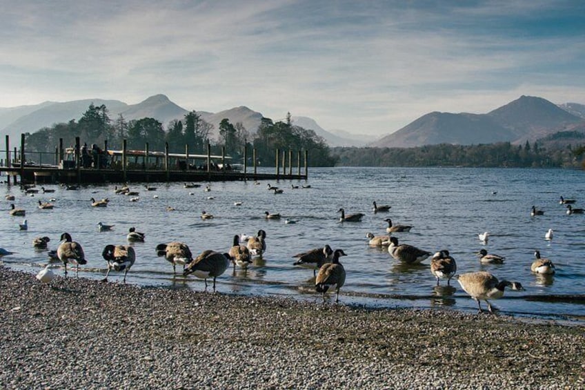 Private Lake District Tour: Ten Lakes Spectacular 3