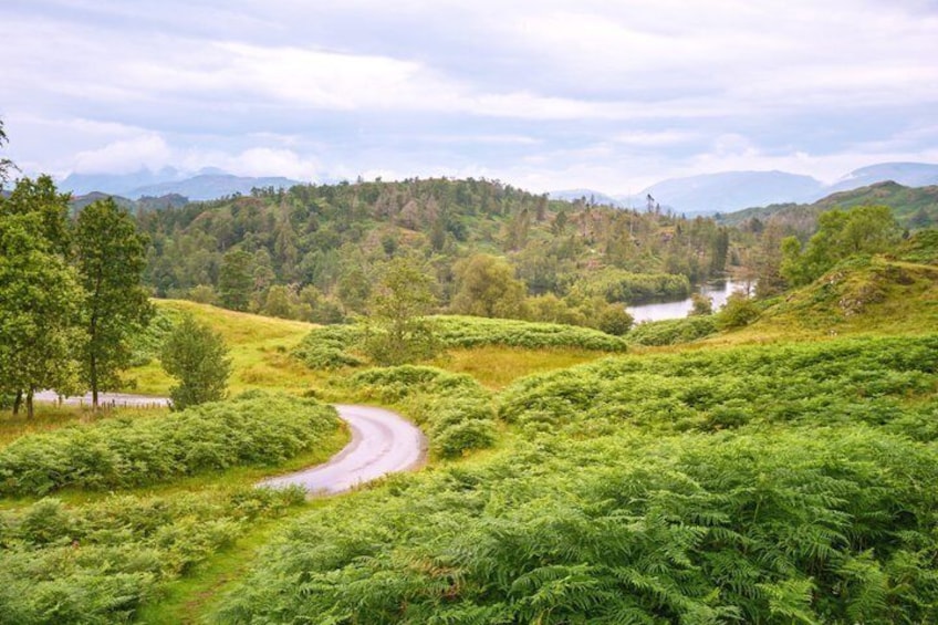 Private Tour Beatrix Potter's Favourite Lakeland Countryside 2