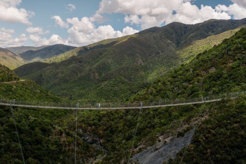 Remutaka Rail Trail Mountain Bike Explorer Cycle Tour 3