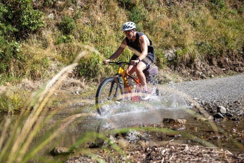 Remutaka Rail Trail Mountain Bike Explorer Cycle Tour 5