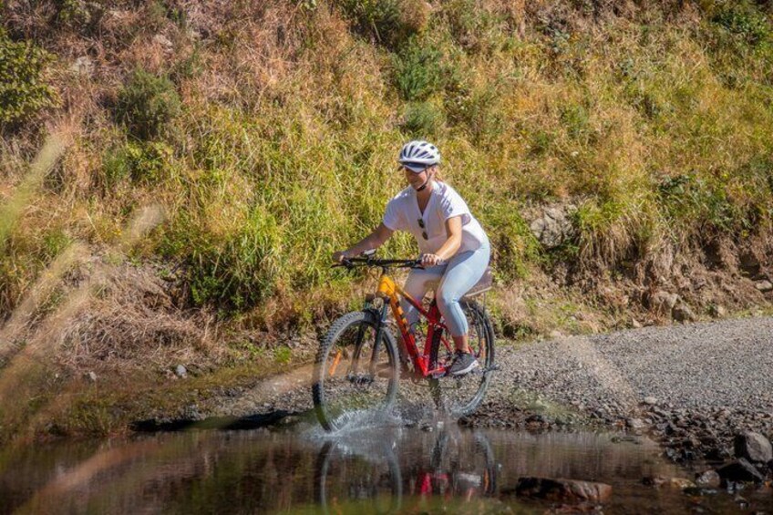 Remutaka Rail Trail Mountain Bike Explorer Cycle Tour 4