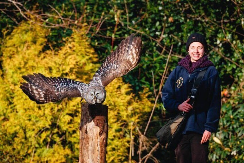 Private Tour: High Adventure and the Western Lake District 5