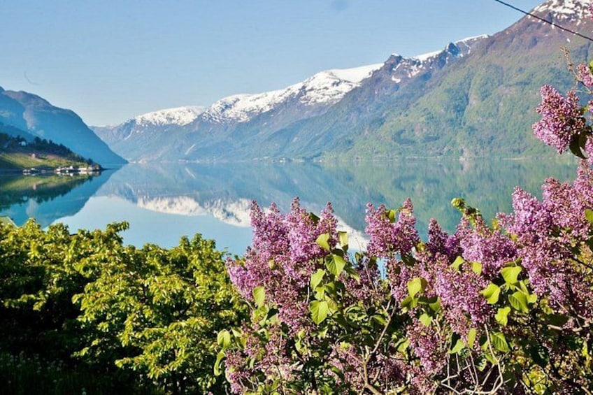 A mountain landscape with a lake, snow-capped peaks, and purple lilac flowers in the foreground. 1