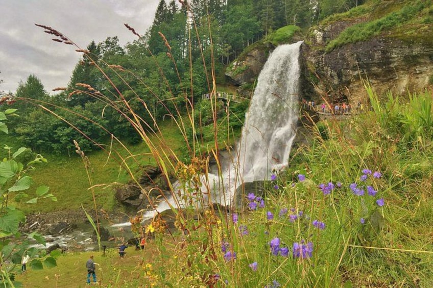 A waterfall, lush greenery, and purple flowers. 5