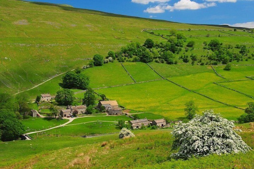 Private Yorkshire Dales from Windermere in a 16 seater Mercedes 2