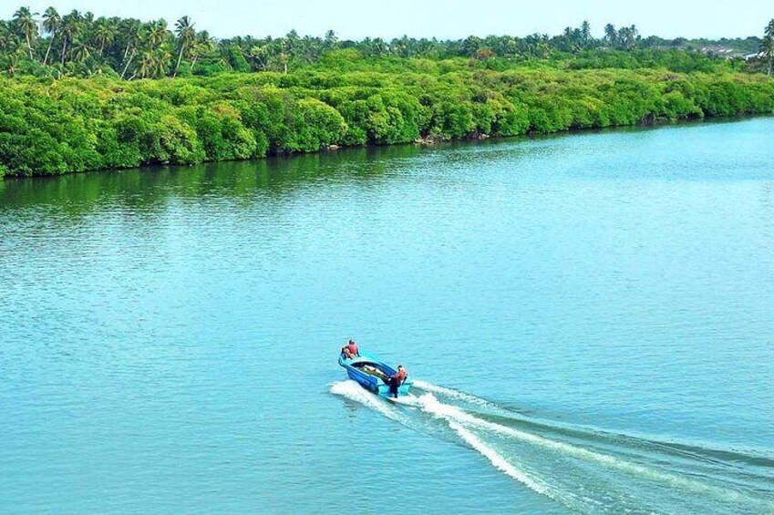 A person jet-skiing on a calm river surrounded by lush greenery. 2