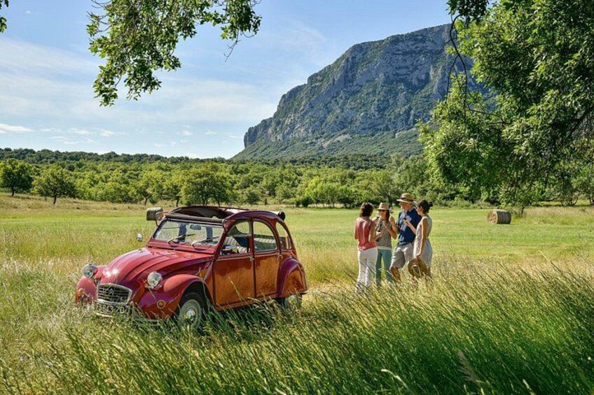Private vintage car half-day wine tour in 2CV 1