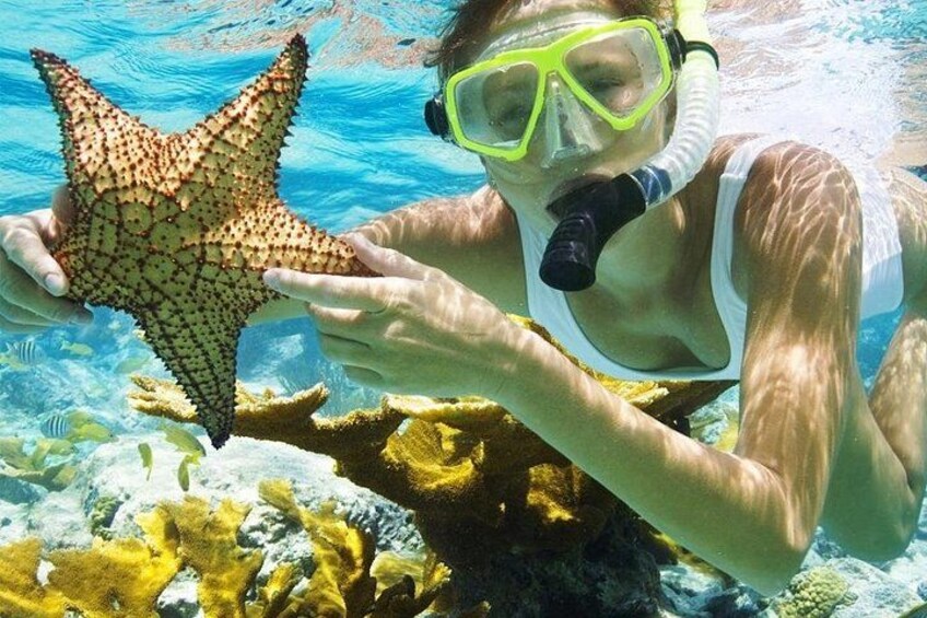 Menjangan Island Bali Diving Activity 4