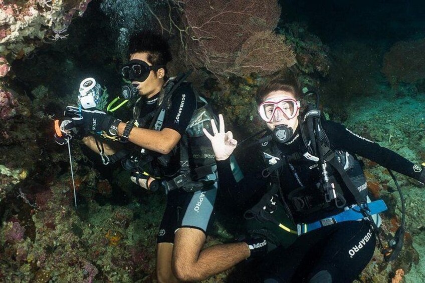 Menjangan Island Bali Diving Activity 2
