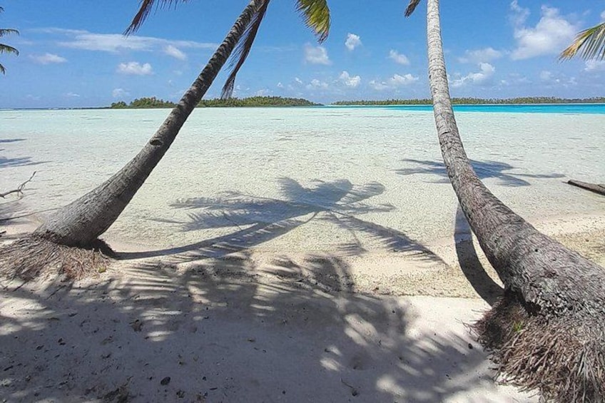 Una playa arenosa con palmeras y un cielo azul despejado. 2