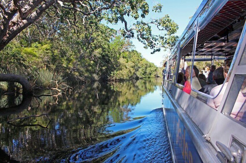 Cruising through The River of Mirrors