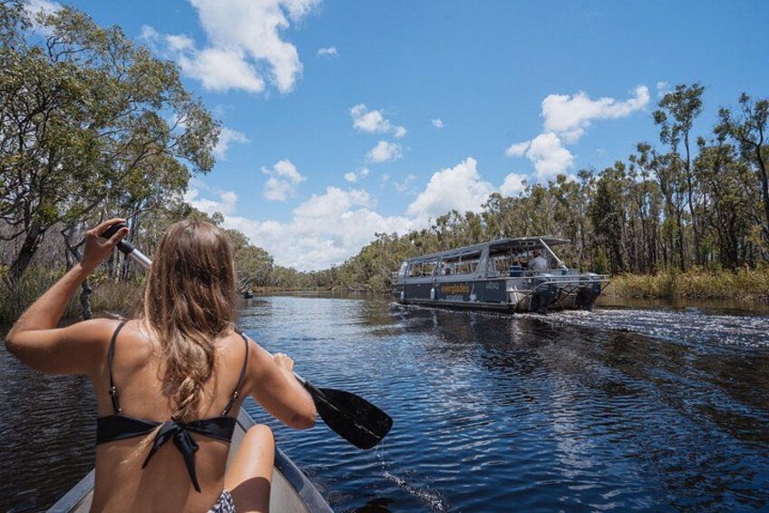 Everglades Explorer - Noosa Everglades Tour 4