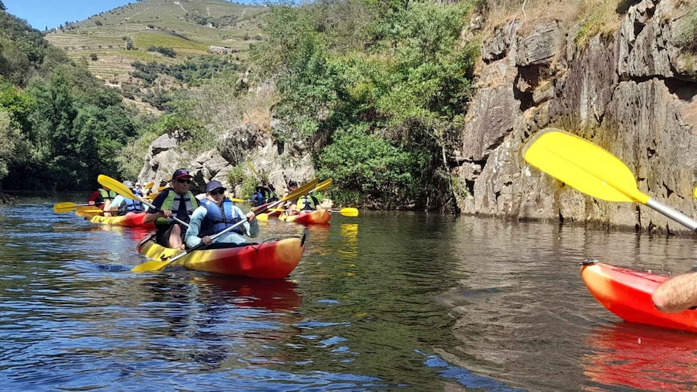 Picture 3 for Activity Pinhão: Douro Valley Rabelo Boat Tour and Kayak Experience 3