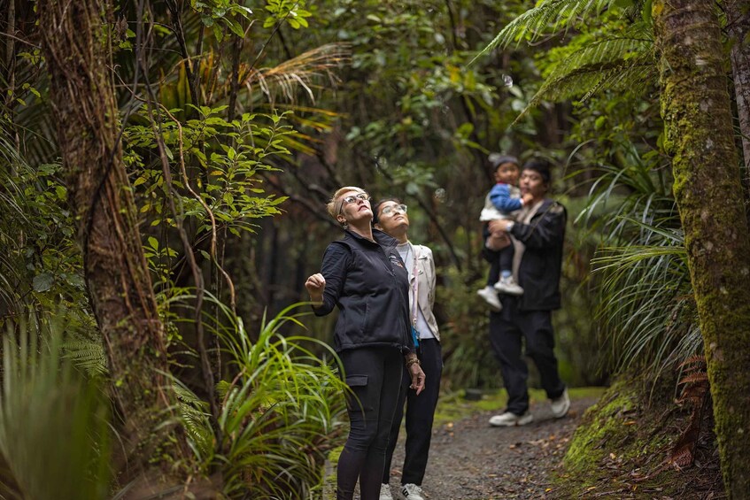 Picture 1 for Activity From Greymouth: Punakaiki Blowholes & Pancake Rocks Tour 2