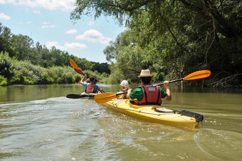 Picture 6 for Activity Varna: Kamchia River Kayaking Day Tour 3