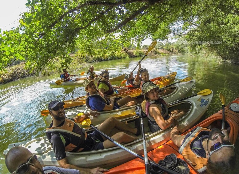 Personas haciendo kayak en un río tranquilo rodeado de abundante vegetación. 3